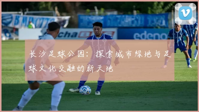 长沙足球公园：探索城市绿地与足球文化交融的新天地