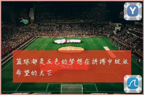 篮球都是灰色的梦想在拼搏中绽放希望的光芒